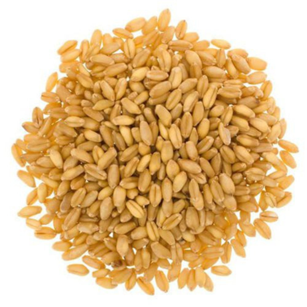 WHEAT LOKWAN